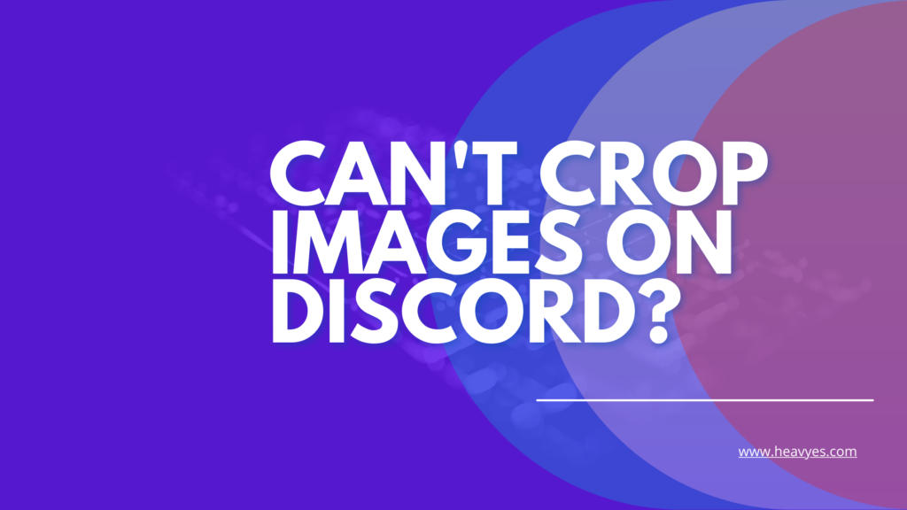 How To Fix Not Being Able To Crop Images On Discord