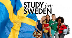 Full funding international student scholarships in Sweden